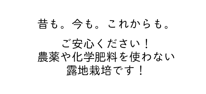 昔も。今も。これからも。ご安心ください！農薬や化学肥料を使わない露地栽培です！